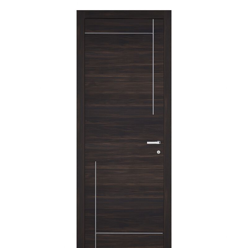 Porte d'intérieur contemporain